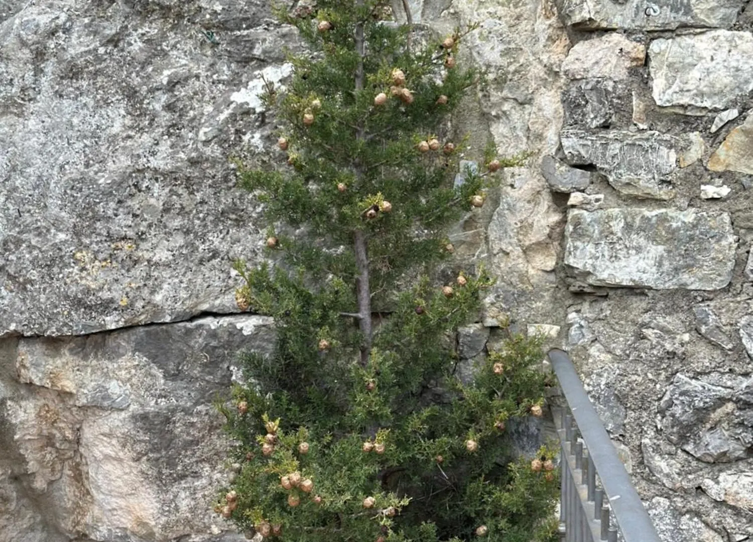 Appartamento Ermione Castiglione dʼOrcia Italia